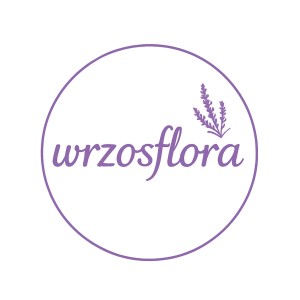 Shoper demo - strona główna